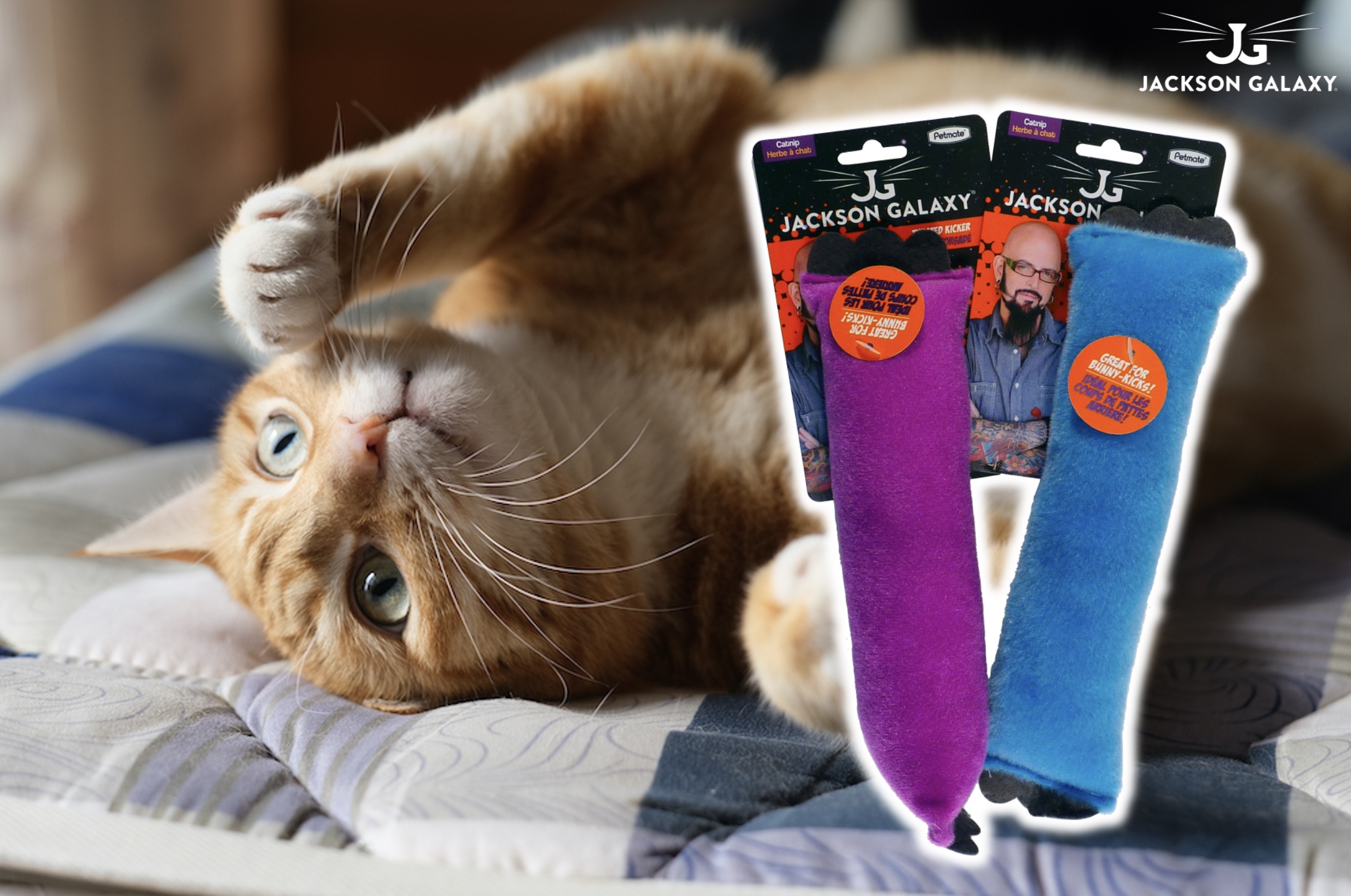 jackson galaxy kicker