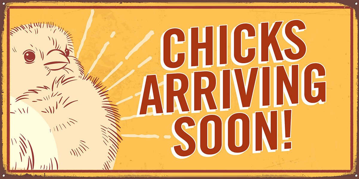 Murdoch's Ranch & Home Supply Chicks arriving soon! Milled