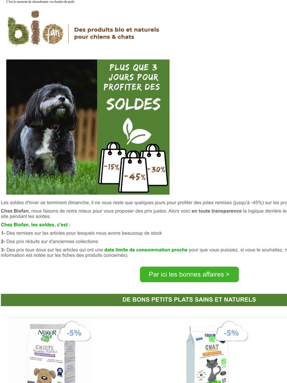🐶 Soldes : C'est bientôt fini ! Jusqu'à 45% de réduction pour lui faire plaisir 🐱