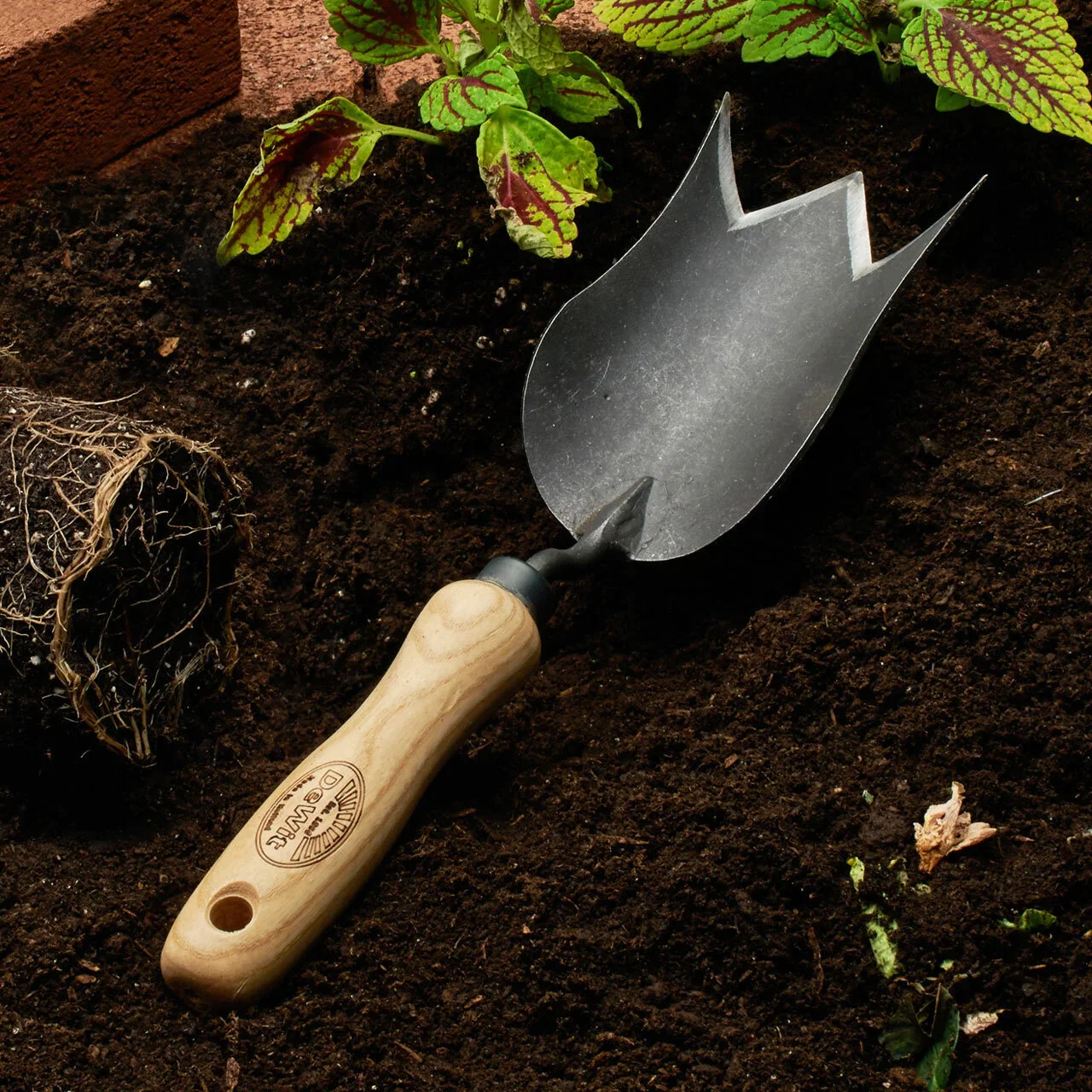 Image of Tulip Trowel