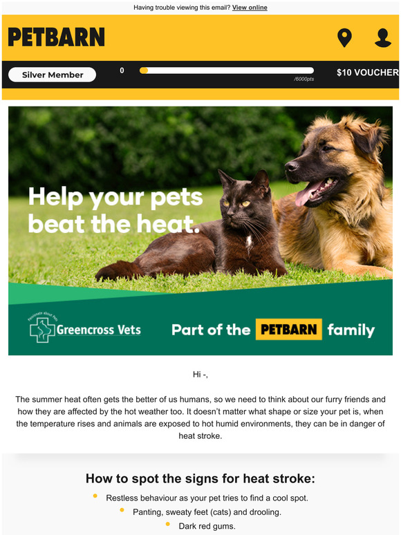 petbarn wahl clippers