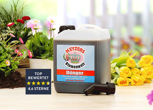 QVC: Der Garten ruft! | Milled