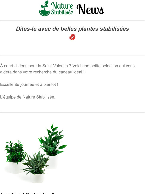 🌿 Saint-Valentin J-13 🌱