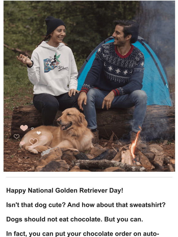 Dogs and chocolate? 🐕 🍫
