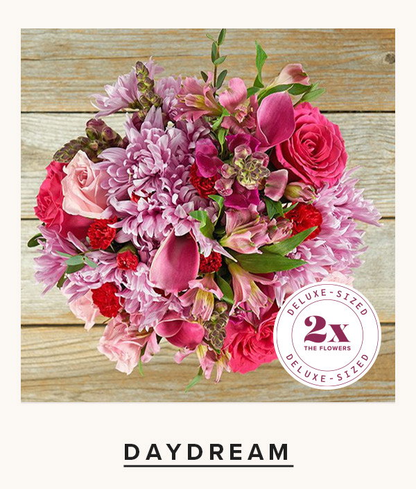 Daydream