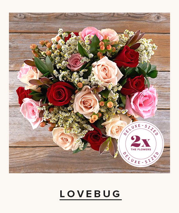 Lovebug