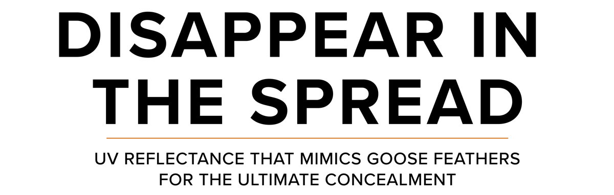 Nodak: DISAPPEAR IN  THE SPREAD