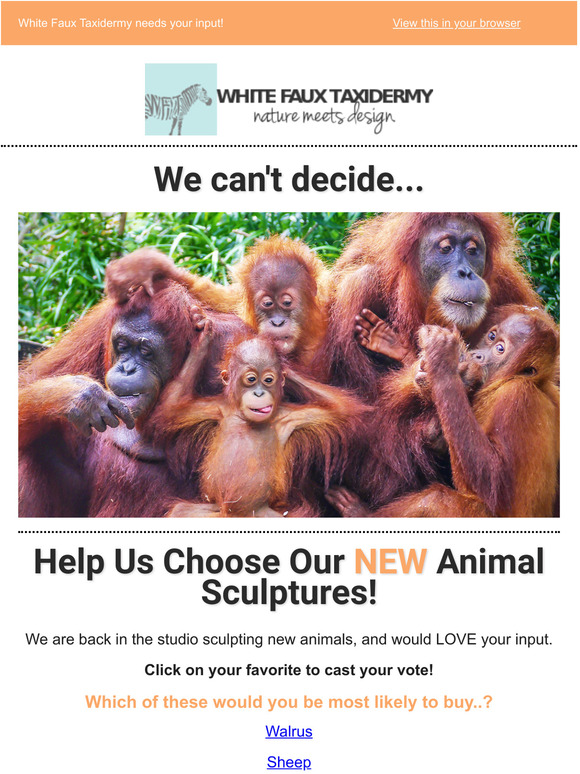Help Us Choose Our NEW Animal Sculptures!
