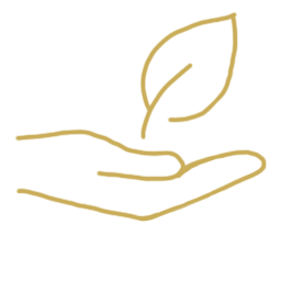 entrega-en-mano
