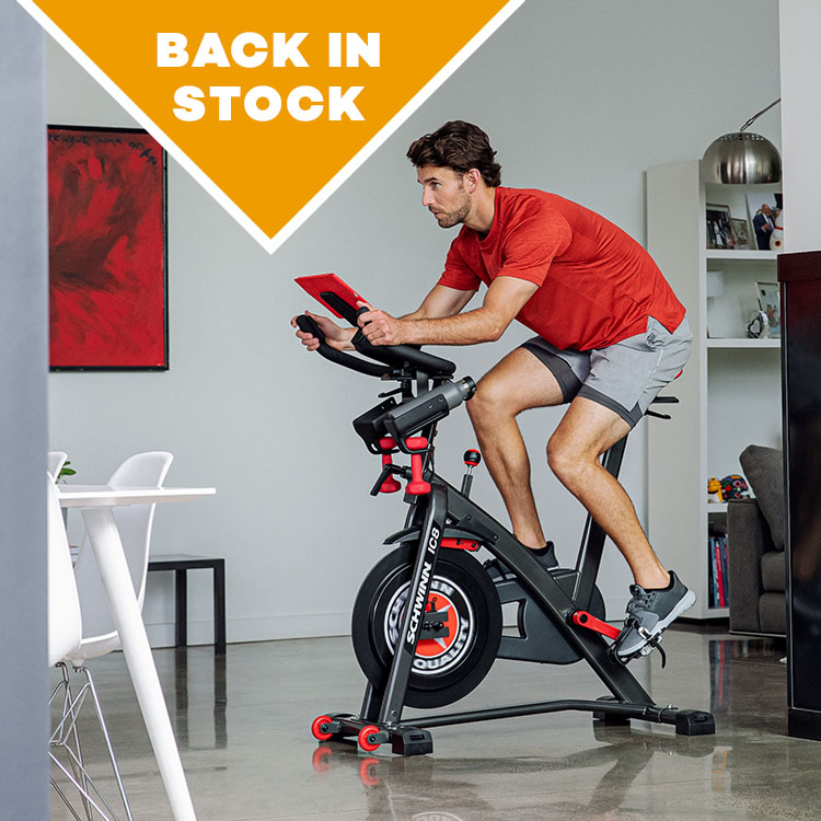 schwinn ic8 best price