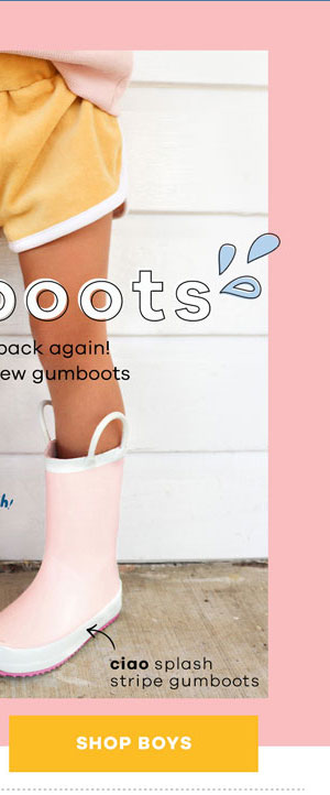 predator accelerator zz