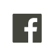 Facebook (White)