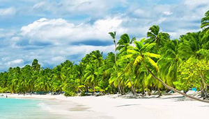 Caribbean