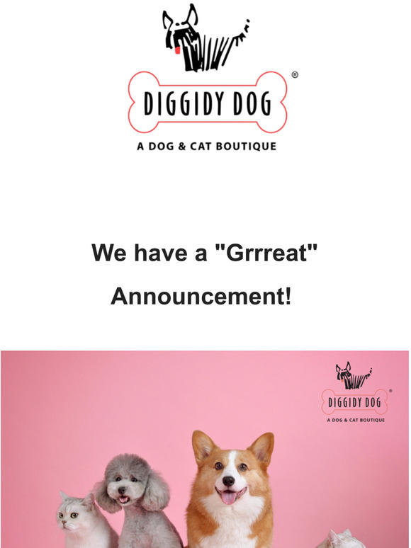 We have Exciting News! 🐾