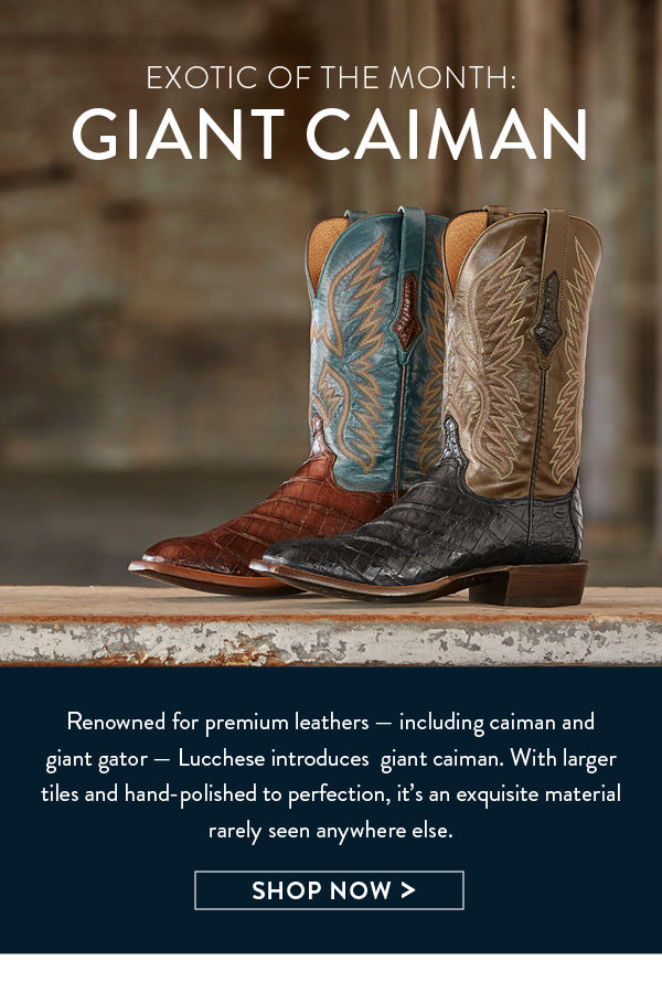 lucchese bryan