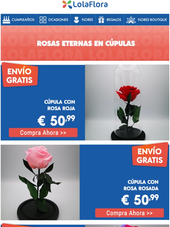 Rosas eternas✨  Bouquet de rosas rojas, Rosas hechas a mano, Regalos rosas