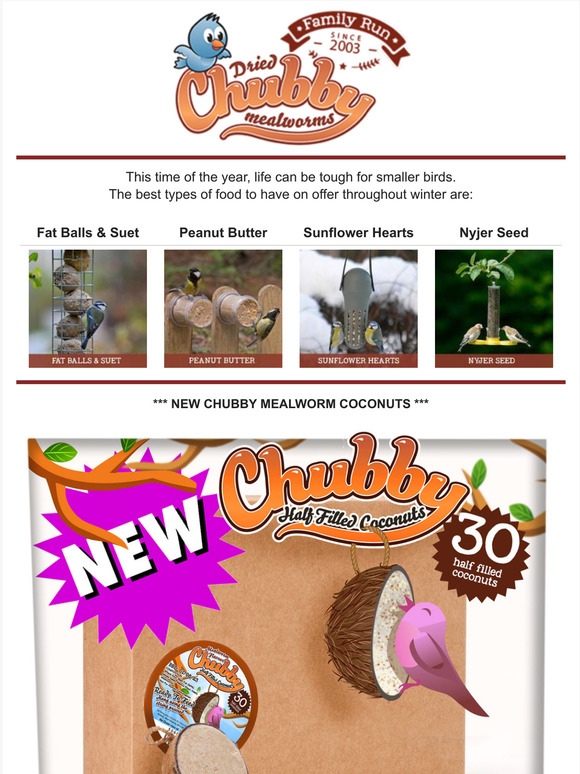 Feeding Birds Through Winter & NEW Products Inside!