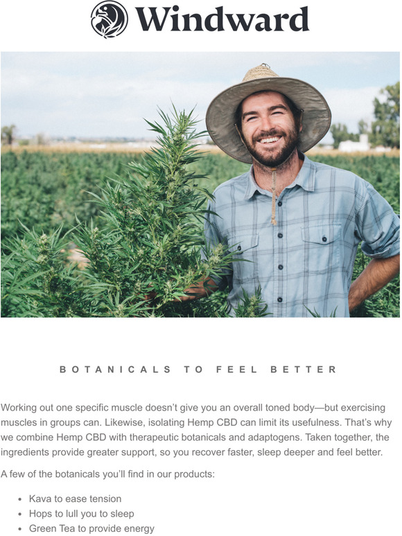 Better Together: Hemp CBD + Botanicals