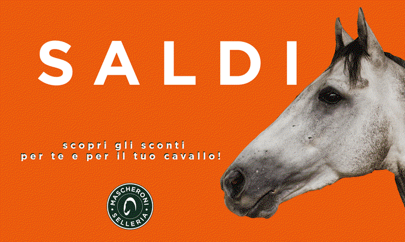 Saldi Mascheroni Selleria