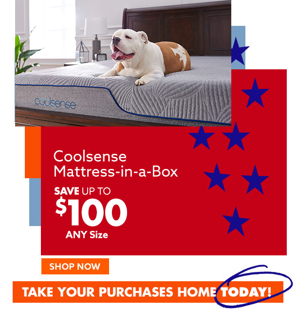 big lots coolsense