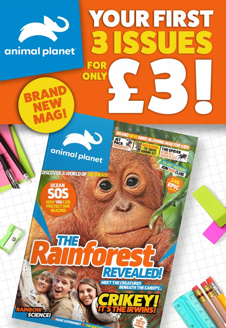 DC Thomson Shop: Brand New Animal Planet Magazine - 3 issues for £3! |  Milled