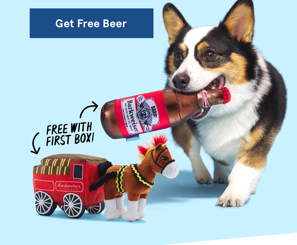 barkbox budweiser bundle