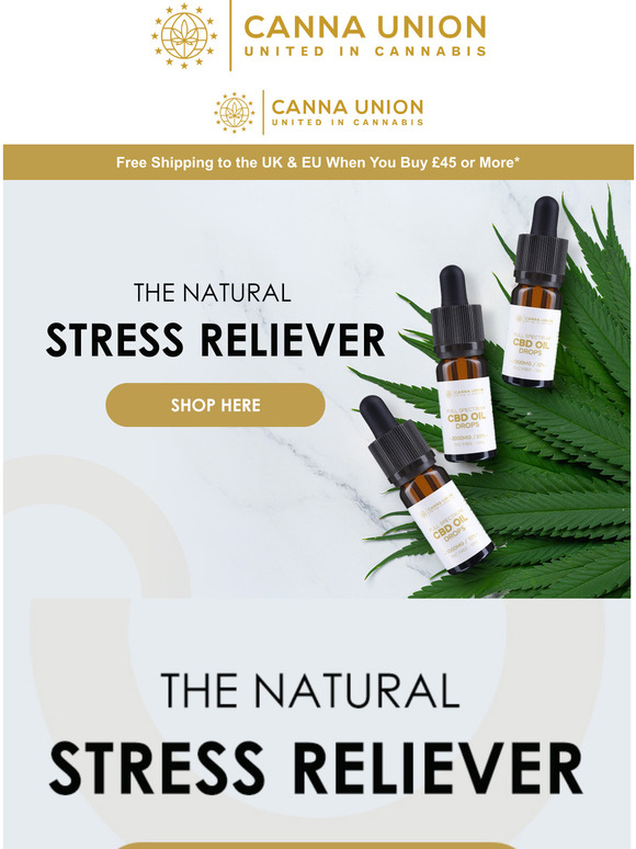 Need Stress Relief?