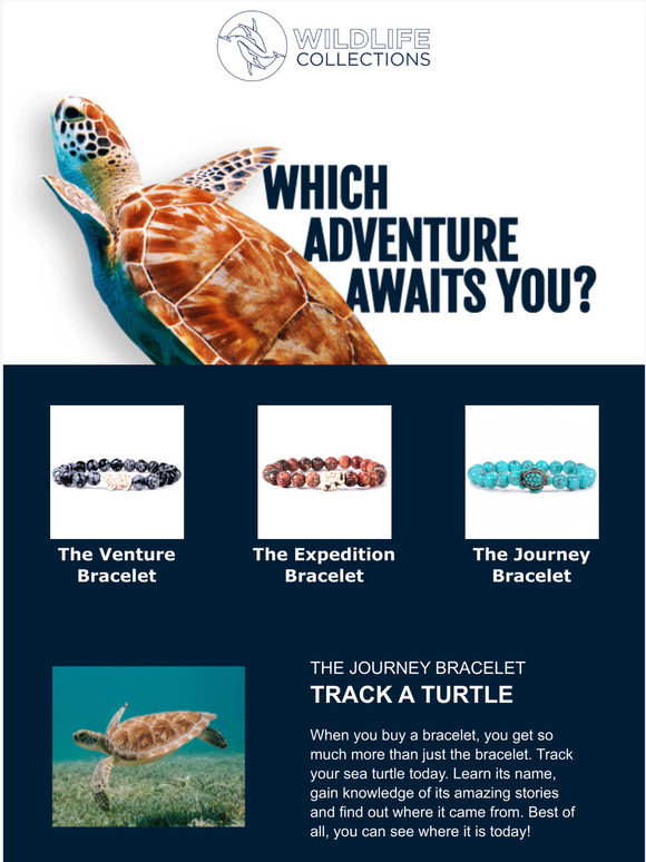 sea turtle bracelet tracking
