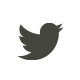 Twitter (White)