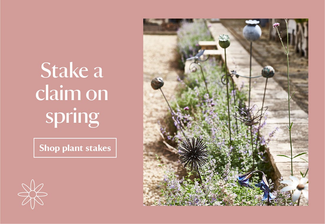 Click to shop plant stakes
