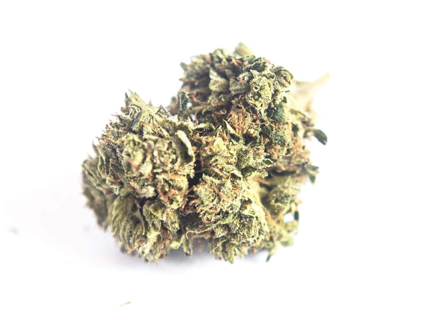 Image of CBD OG Kush 5g