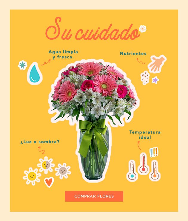 Cuidar flores naturales: consejos para disfrutar al máximo de ellas