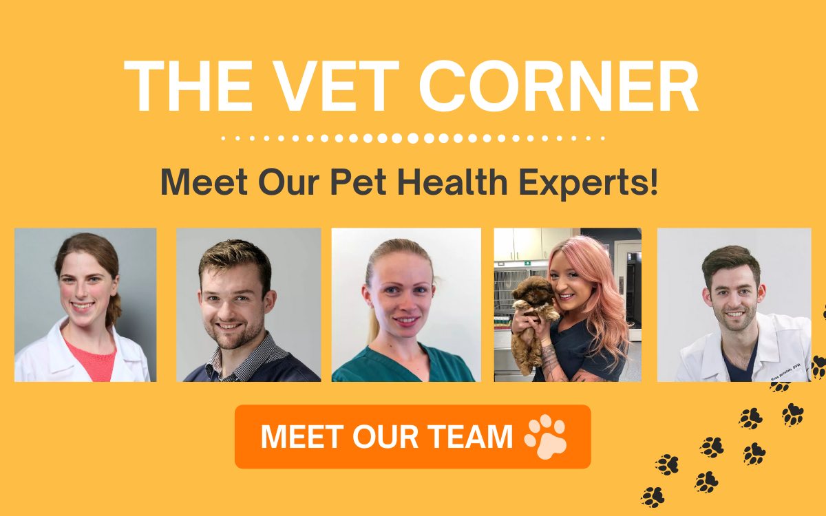 Meet Our Pet care Experts