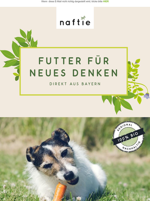 Frühjahrs-Fastenkur für Deinen Hund