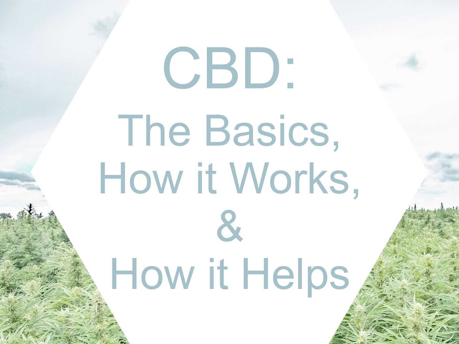The basics of CBD