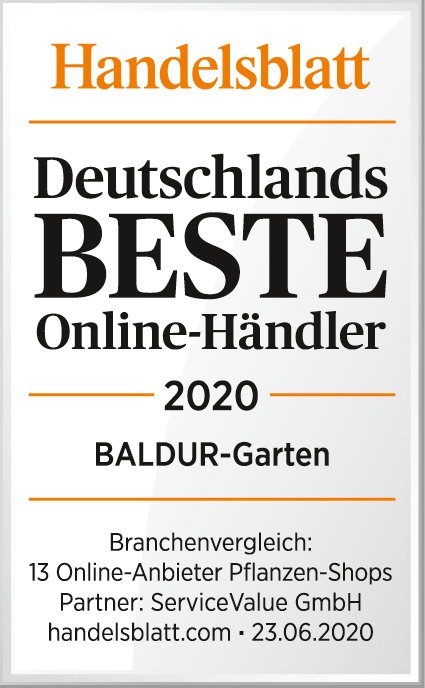Deutschlands BESTE Online-Händler