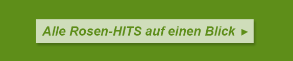 Alle Rosen-HITS auf einen Blick