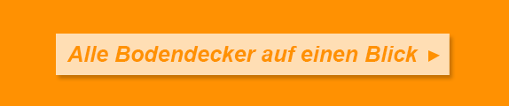 Alle Bodendecker auf einen Blick