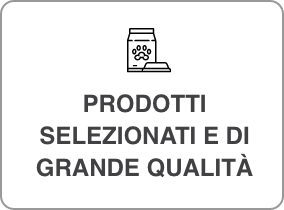footer-2.png