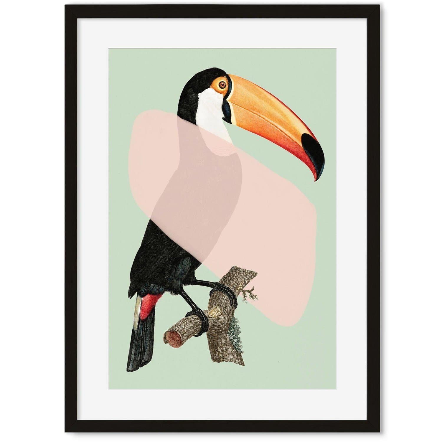 Image of Mint Toucan In Blush Pop Art Print