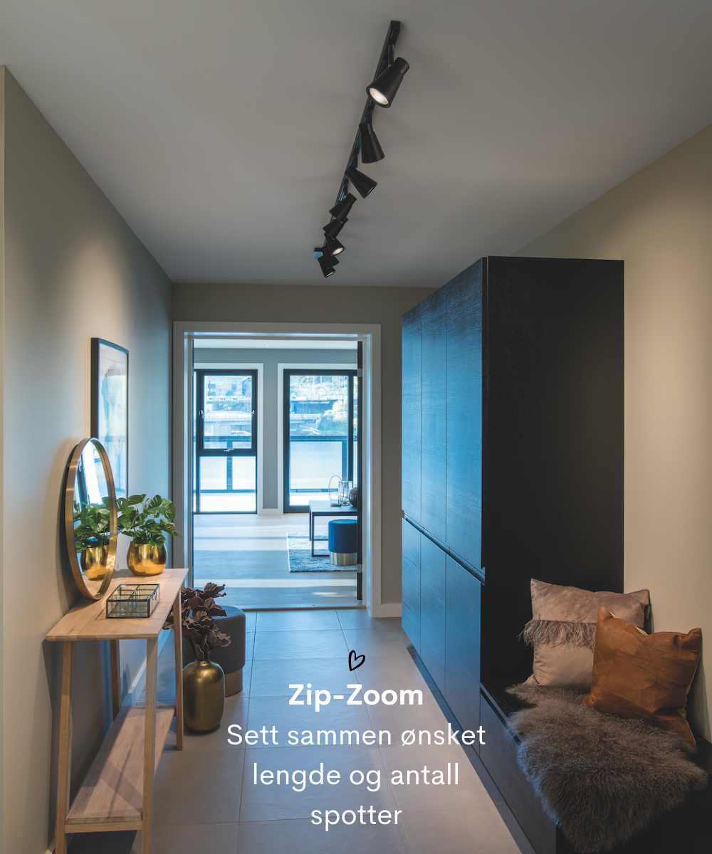 Zip Zoom