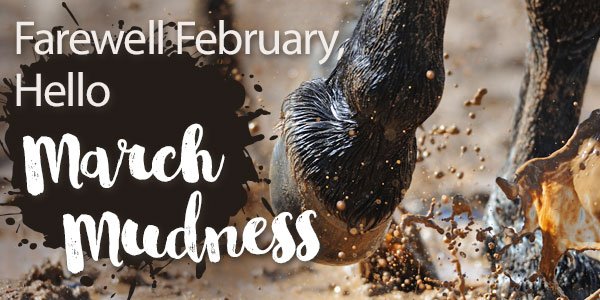 Farewell February, Hello March Mudness! 20% Off or 30% Off Orders over $149*