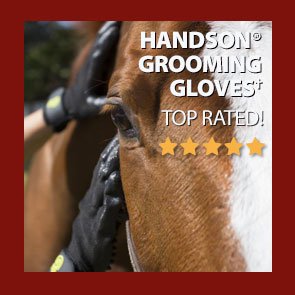 HandsOn® Grooming Gloves†
