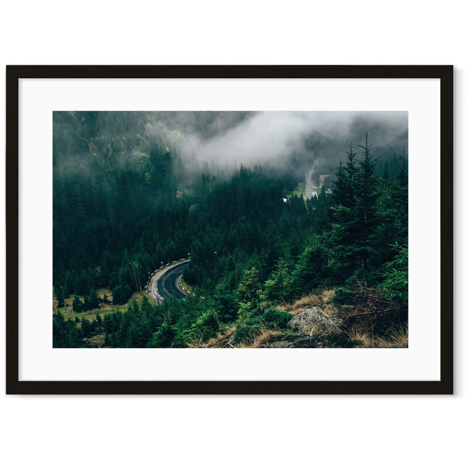 Image of Misty Forest Art Print