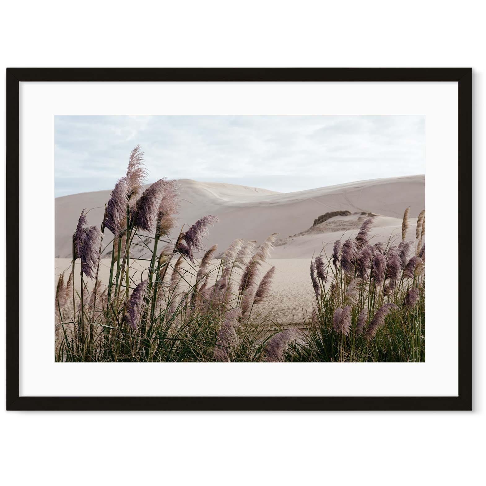 Image of Pampas Grass Dunes Art Print