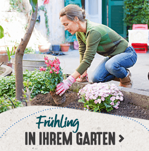 Frühling in Ihrem Garten