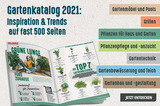 500 Seiten