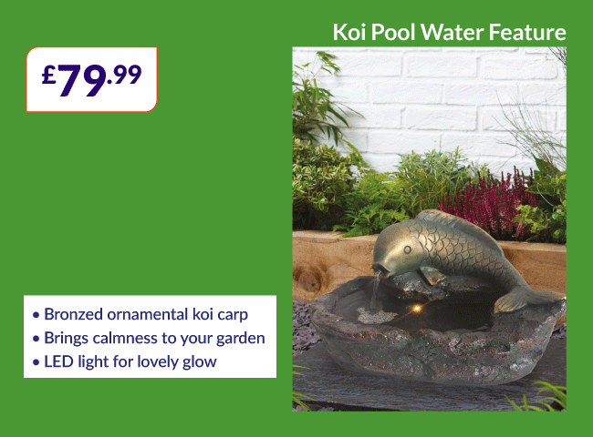 Koi Pool Water Feature