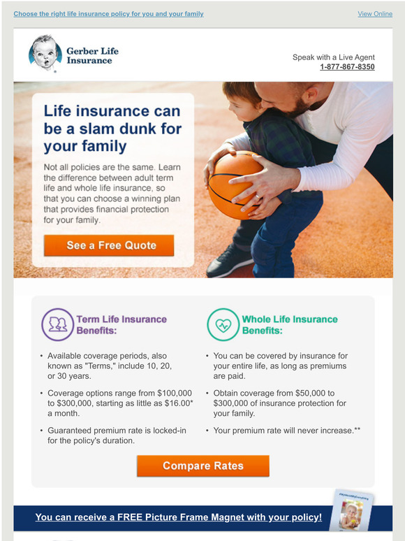 Gerber Life Insurance Which Gerber Life plan is right for YOU? Milled