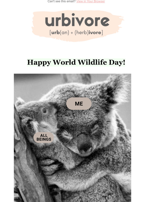 Happy World Wildlife Day!  We are donating 10% of all sales today to help wildlife in need.
